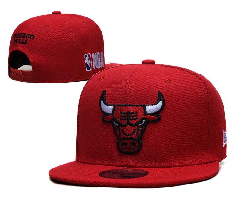2025 NBA Chicago Bulls Hat YS2025410